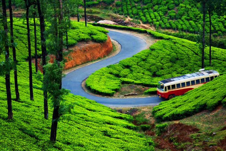 Munnar Trip Packages