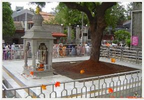 3 Nights & 4 Days Shirdi Family Tour Package