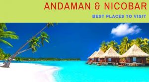 Amazing Things To Do and Places to Visit In Andaman Nicobar For a Once In a Lifetime Andaman Tour