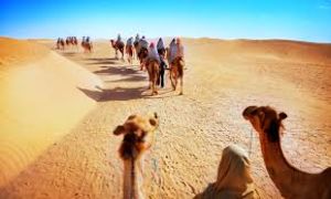 6 Days Jaisalmer, Jodhpur with Udaipur Vacation Package