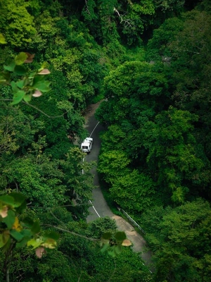 04 Nights 5 Days Kerala Tour Package