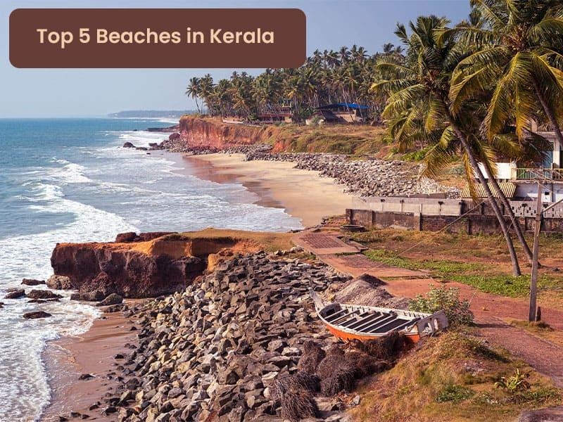 Top 5 Beaches in Kerala