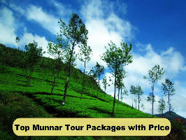 Top Munnar Tour Packages with Price
