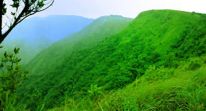 Vagamon
